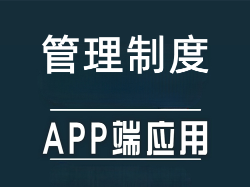 APP应用软件管理制度文档